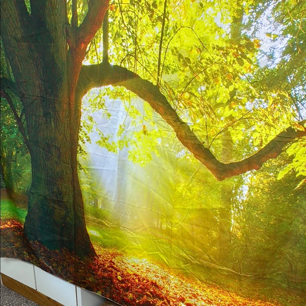 Sunlit Forest Wall Tapestry - Picture 5 of 7